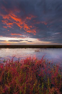 BUITEN BEELD Foto: 144460