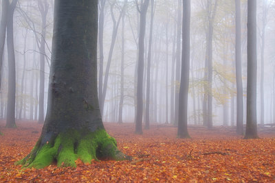 BUITEN BEELD Foto: 144518