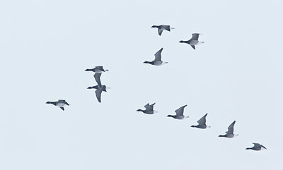 BUITEN BEELD Foto: 144520