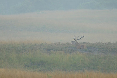 BUITEN BEELD Foto: 144563
