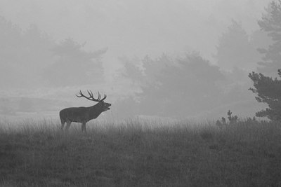 BUITEN BEELD Foto: 144564