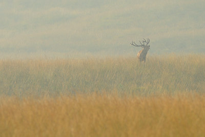 BUITEN BEELD Foto: 144579