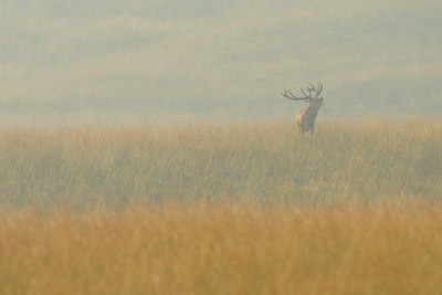 BUITEN BEELD Foto: 144579