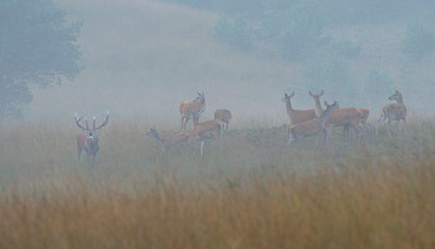 BUITEN BEELD Foto: 144583