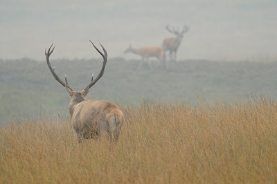 BUITEN BEELD Foto: 144592