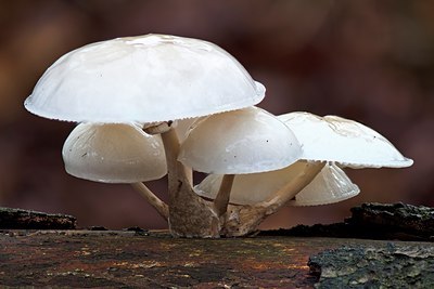 BUITEN BEELD Foto: 144704