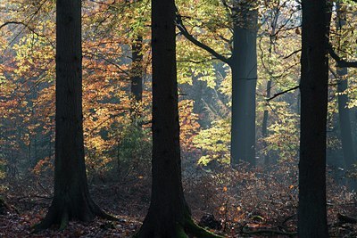 BUITEN BEELD Foto: 144707