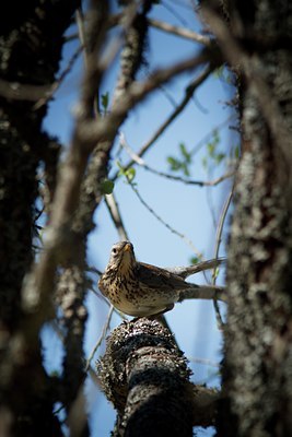 BUITEN BEELD Foto: 144726