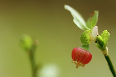 BUITEN BEELD Foto: 144732