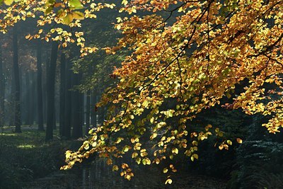 BUITEN BEELD Foto: 144754