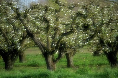 BUITEN BEELD Foto: 144766