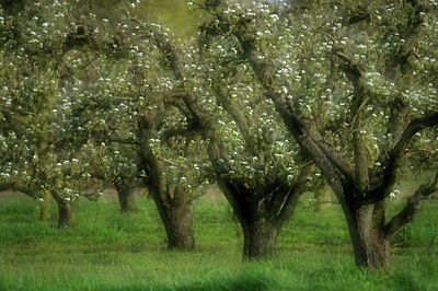 BUITEN BEELD Foto: 144767