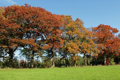 BUITEN BEELD Foto: 144799