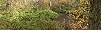 BUITEN BEELD Foto: 144820