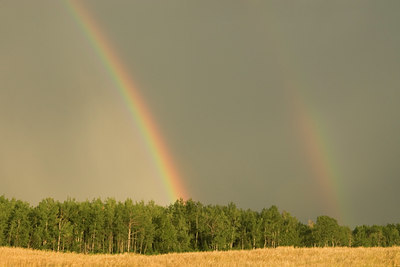 BUITEN BEELD Foto: 144823