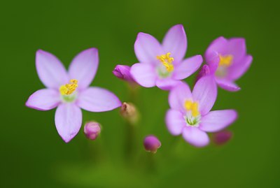 BUITEN BEELD Foto: 144882