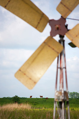 BUITEN BEELD Foto: 144883