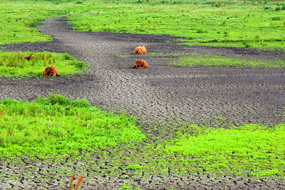 BUITEN BEELD Foto: 144889