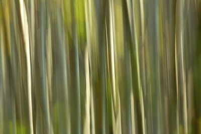 BUITEN BEELD Foto: 144976
