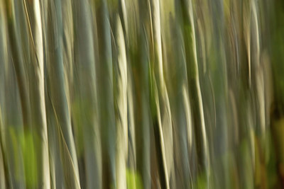 BUITEN BEELD Foto: 144978