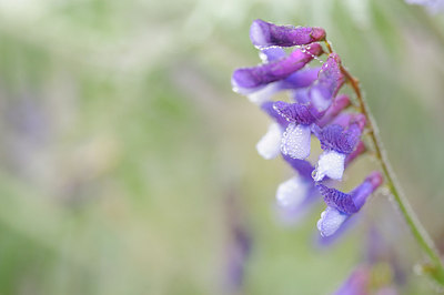 BUITEN BEELD Foto: 145004