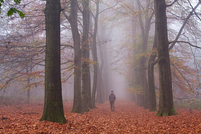 BUITEN BEELD Foto: 145050