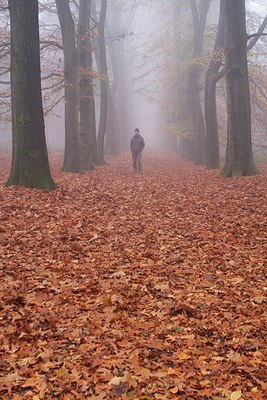 BUITEN BEELD Foto: 145051