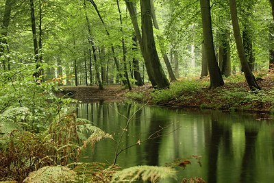 BUITEN BEELD Foto: 145101