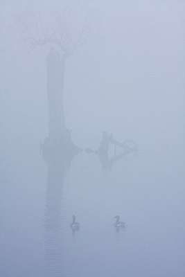 BUITEN BEELD Foto: 145103