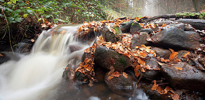 BUITEN BEELD Foto: 145146