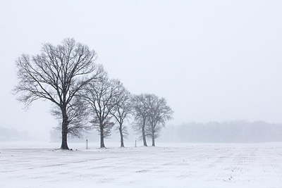 BUITEN BEELD Foto: 145160