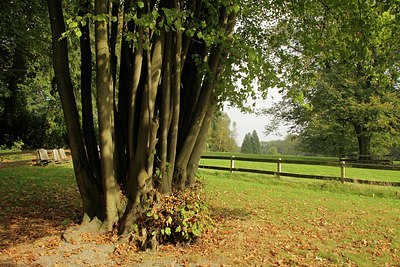 BUITEN BEELD Foto: 145176
