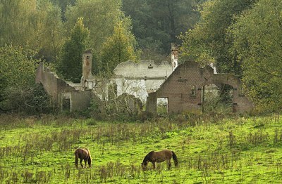 BUITEN BEELD Foto: 145192