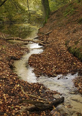 BUITEN BEELD Foto: 145202