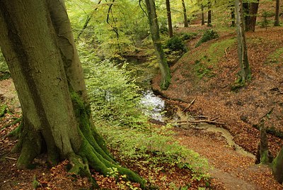 BUITEN BEELD Foto: 145203