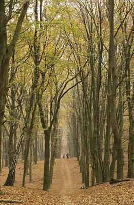 BUITEN BEELD Foto: 145223