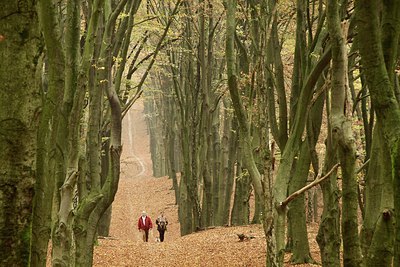 BUITEN BEELD Foto: 145225