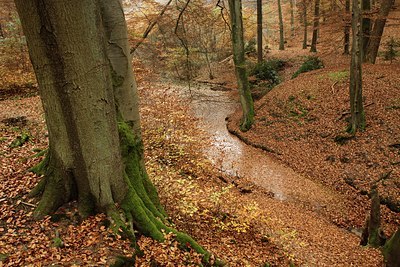 BUITEN BEELD Foto: 145227