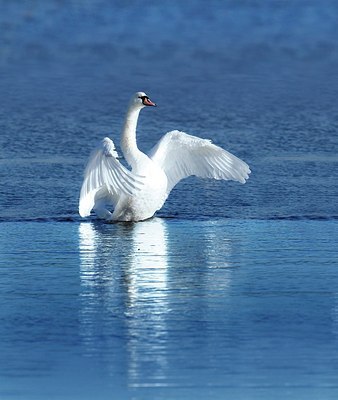 BUITEN BEELD Foto: 145229