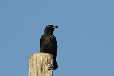 BUITEN BEELD Foto: 145238