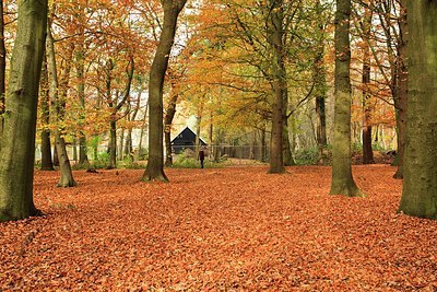 BUITEN BEELD Foto: 145263