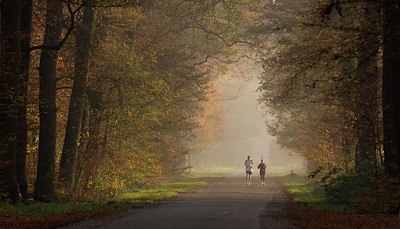 BUITEN BEELD Foto: 145282