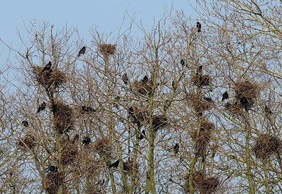 BUITEN BEELD Foto: 145308