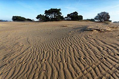 BUITEN BEELD Foto: 145320