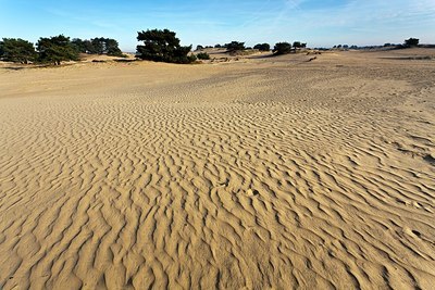 BUITEN BEELD Foto: 145337