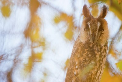 BUITEN BEELD Foto: 145427