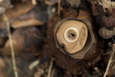 BUITEN BEELD Foto: 145436