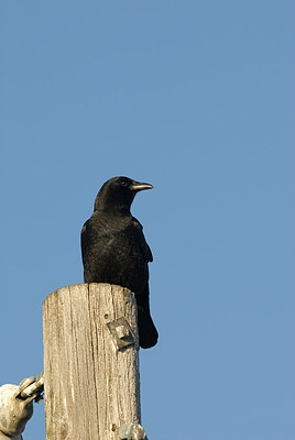 BUITEN BEELD Foto: 145439
