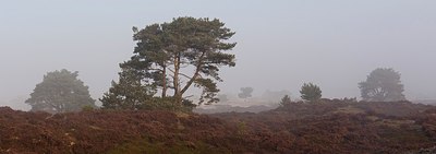 BUITEN BEELD Foto: 145463