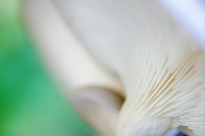 BUITEN BEELD Foto: 145475